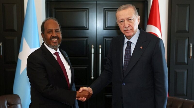 Cumhurbaşkanı Erdoğan, Somali Cumhurbaşkanı Hasan Şeyh Mahmud ile görüştü